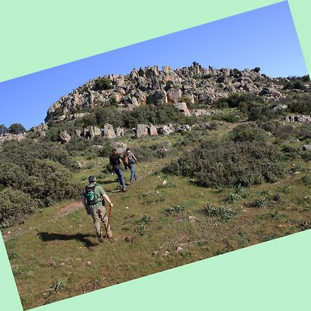Complejo Turistico Rural Fuente Taray Lägenhet Malagón Exteriör bild